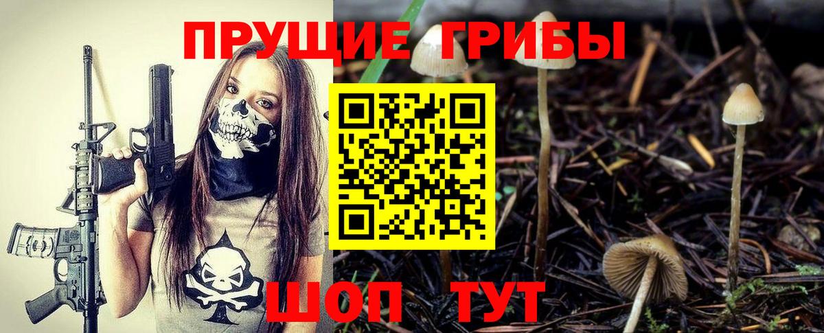 Псилоцибиновые грибы Magic Shrooms Кызыл