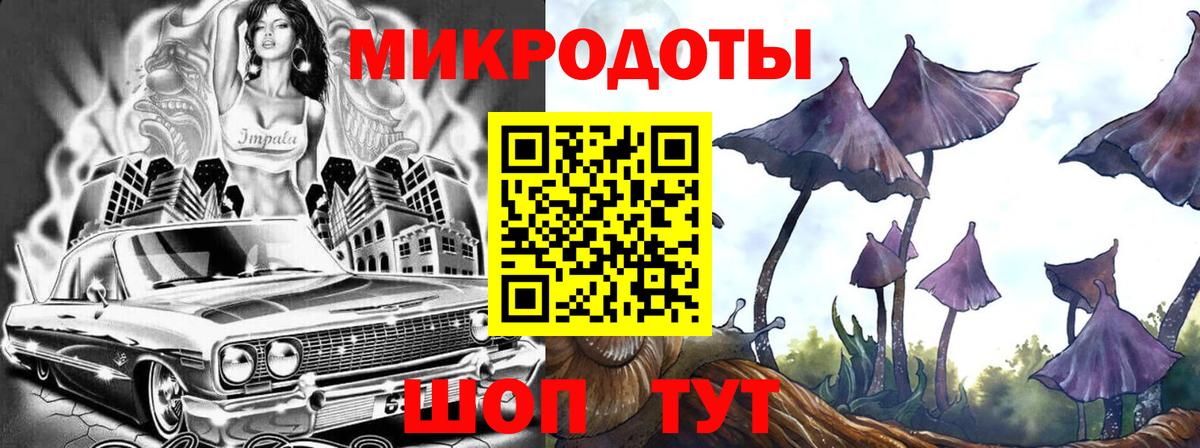 Кызыл  Псилоцибиновые грибы MAGIC MUSHROOMS  Вход с VPN 